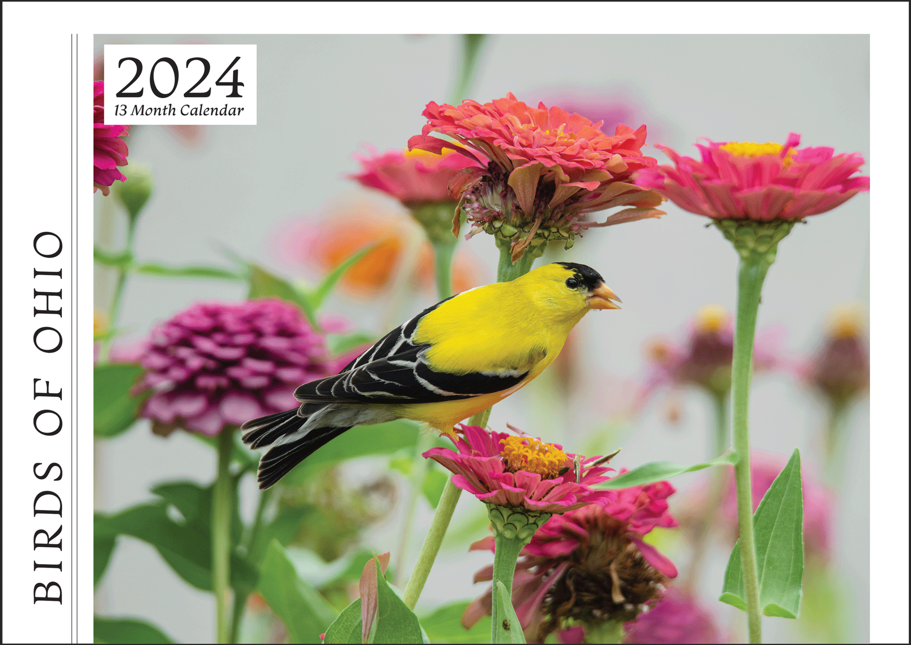 Birds of Ohio 2024 Calendar
